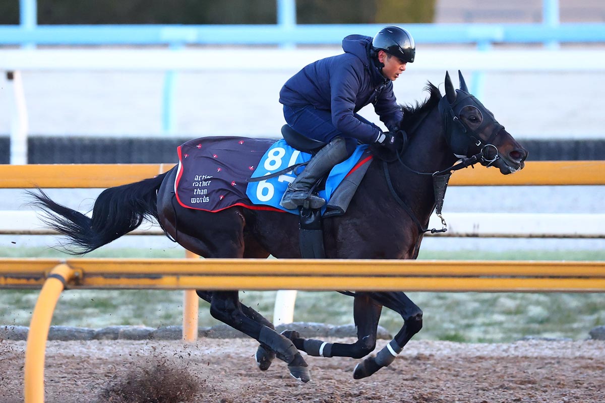 ドイツの若き名手トール・ハマーハンセンを藤井勘一郎が直撃 武豊