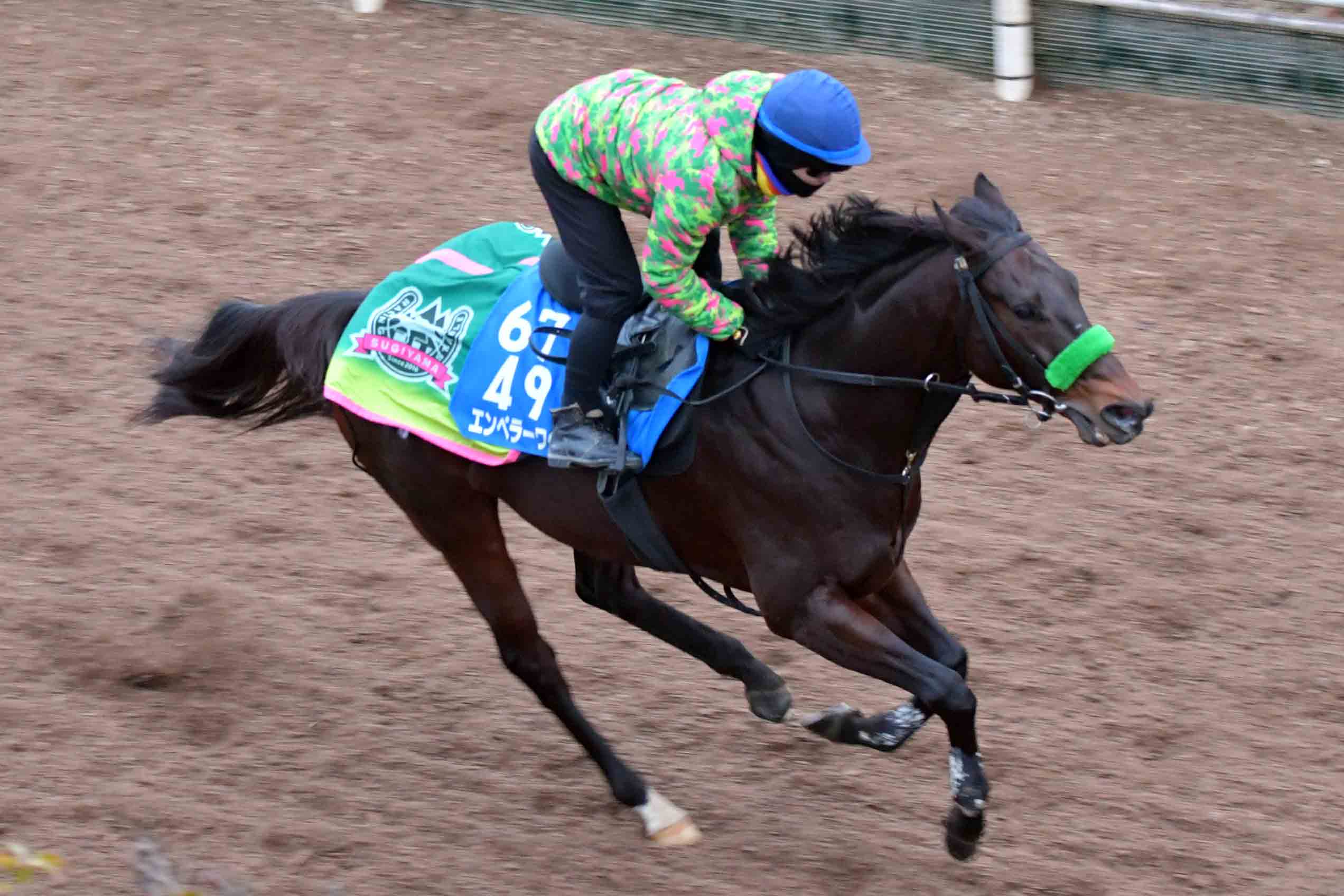世界的競馬組織クールモアのS・マグニア氏が日本で馬主資格取得 超良血