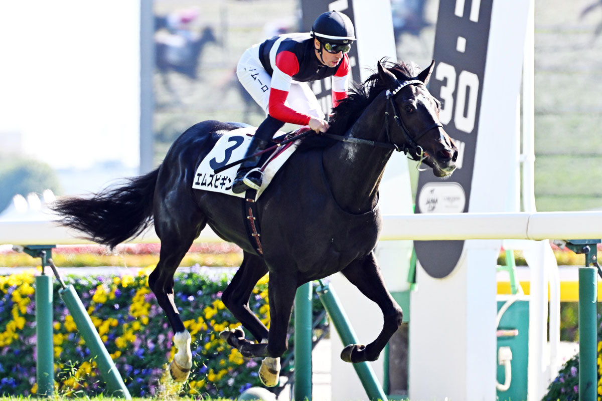 きさらぎ賞】京都の傷んだ馬場で活躍が目立つ欧州血統 2年連続で連対中