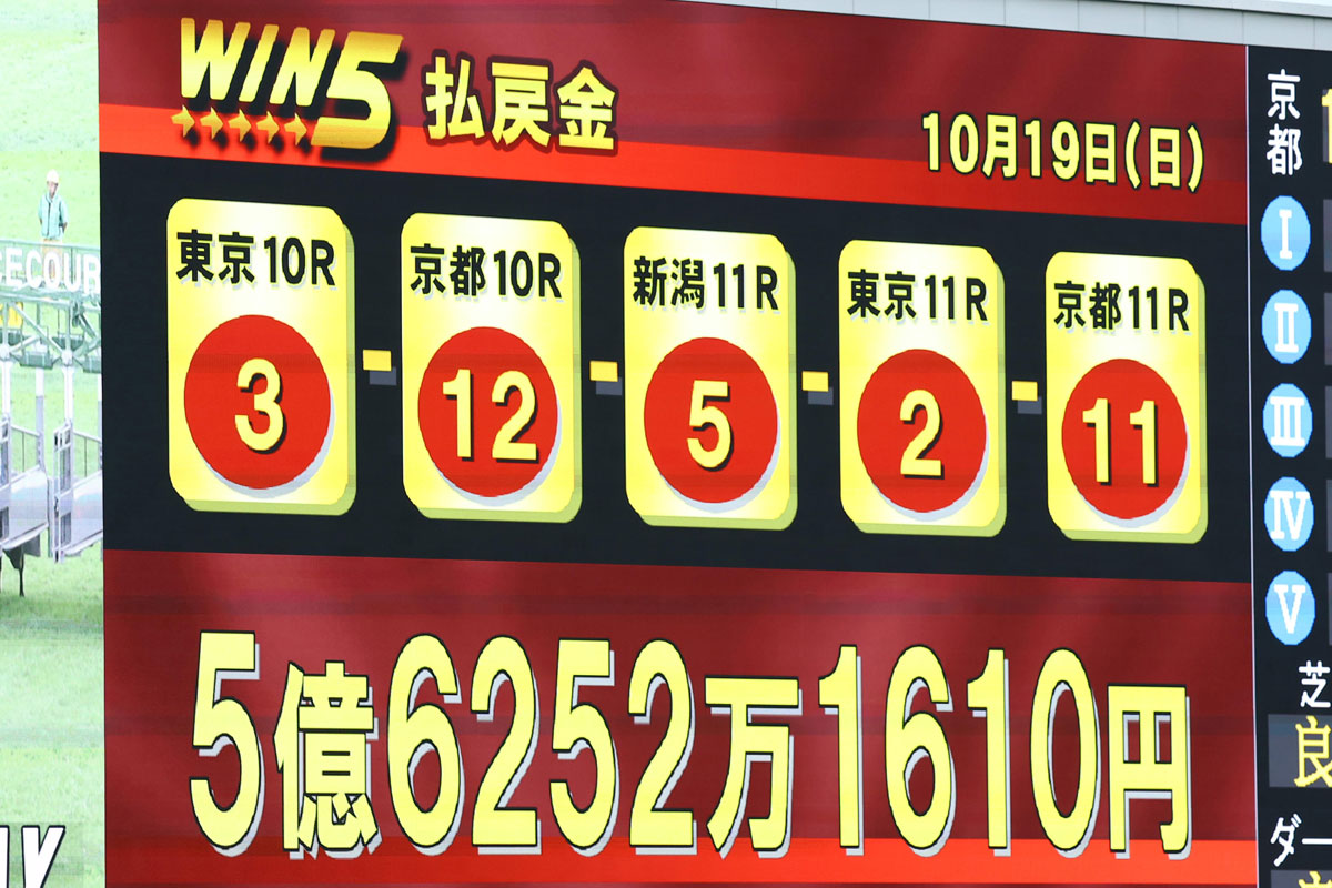 win5 とは