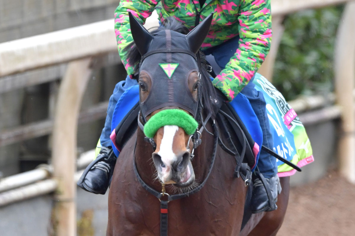 エルトンバローズはフェブラリーSを回避 マイラーズCへ 鞍上は西村淳也