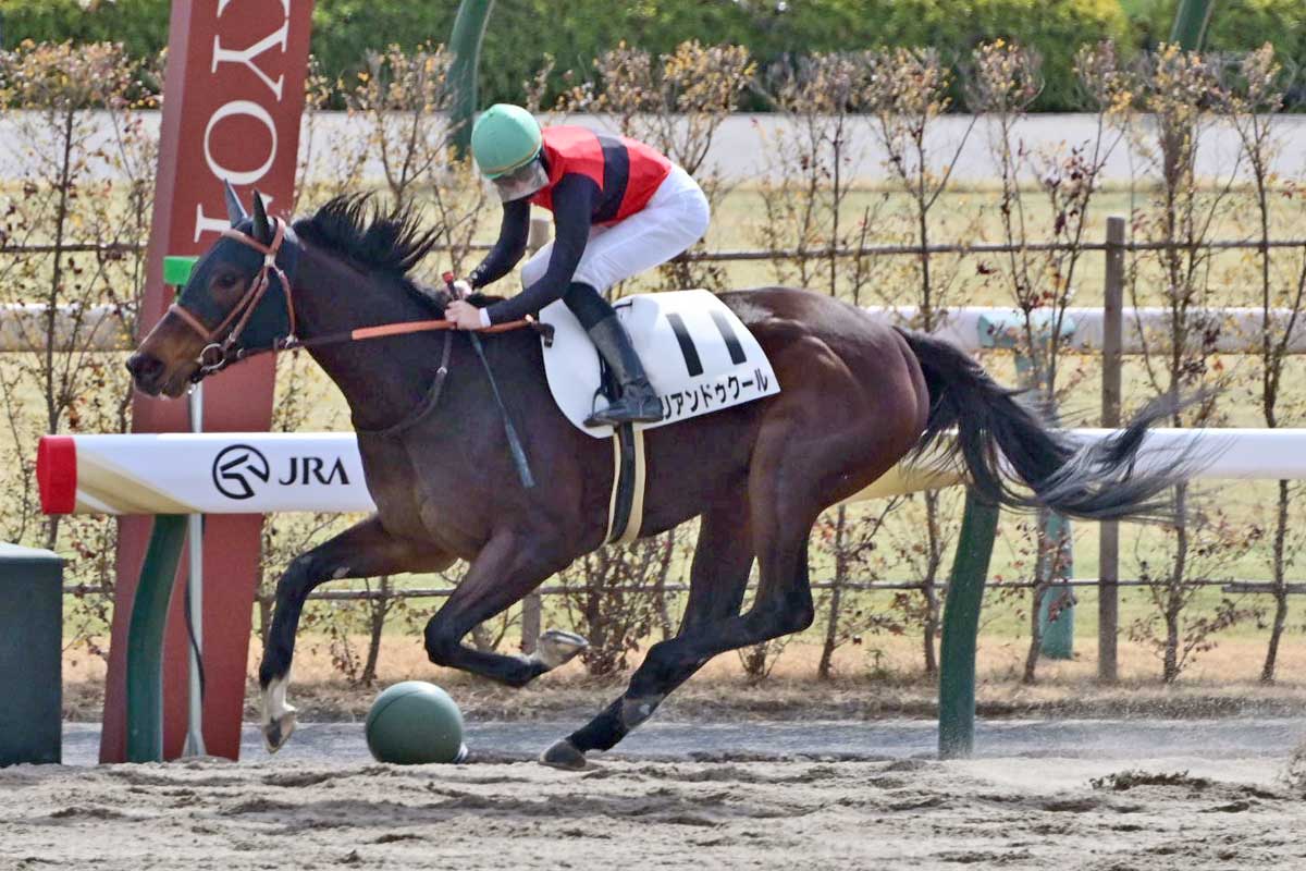 新馬勝ち馬点検】馬格も十分のパワータイプ！リアンドゥクール今後も