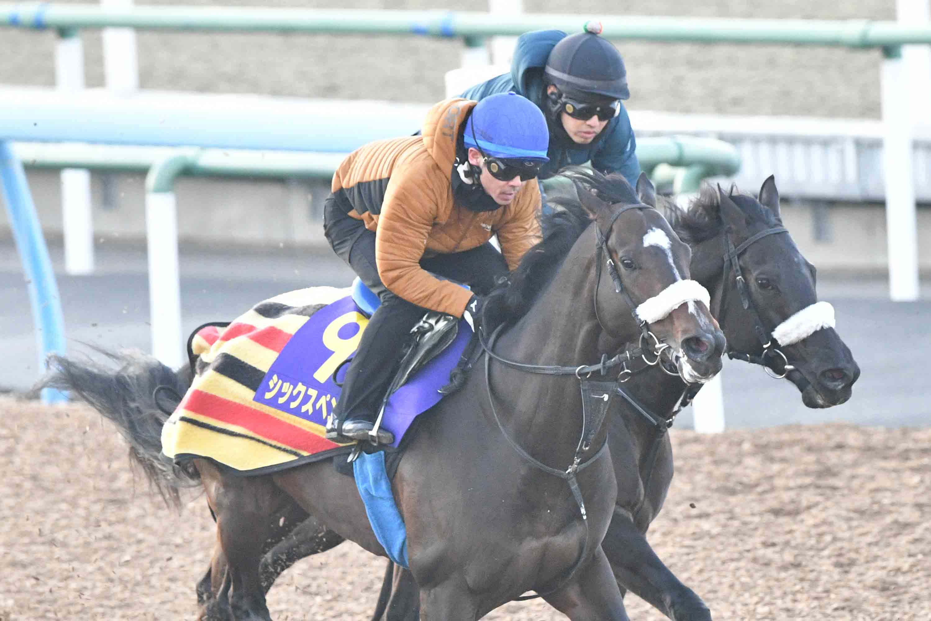 フェブラリーS追い切り】シックスペンスはウッドで併入 ラストGⅠの