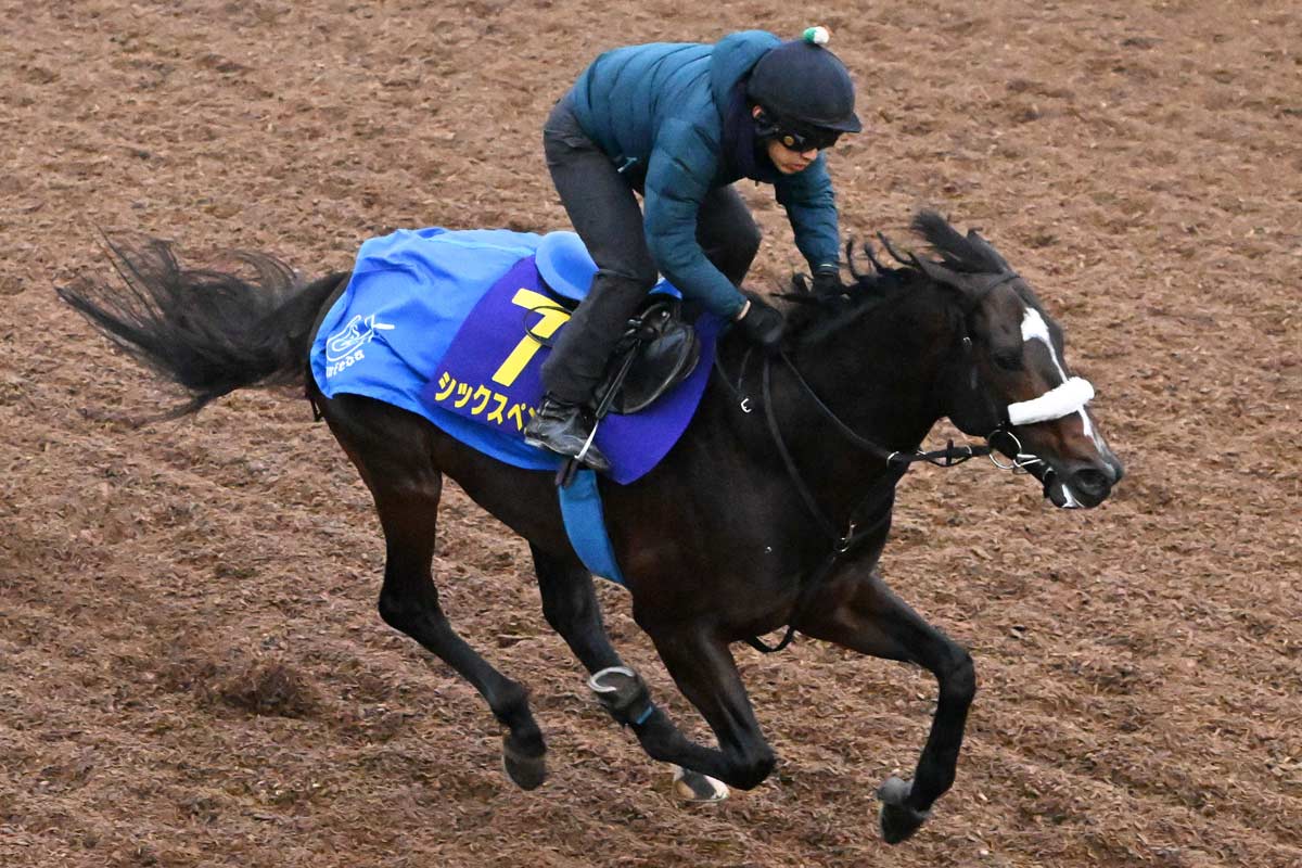 フェブラリーS】「マイルのダートがいい」「落鉄して…」前走騎手