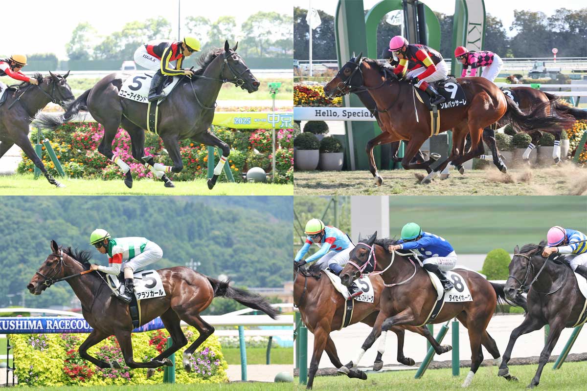 チューリップ賞展望】武豊と新コンビの良血を筆頭に素質馬ズラリ