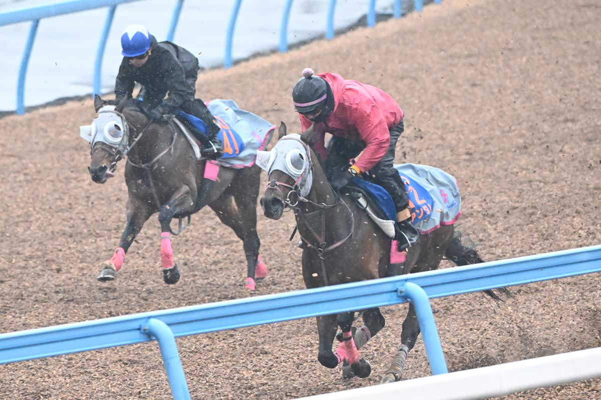 競馬ファン　必見 Is it the best in Japan?] Serious horse racing fans should be able