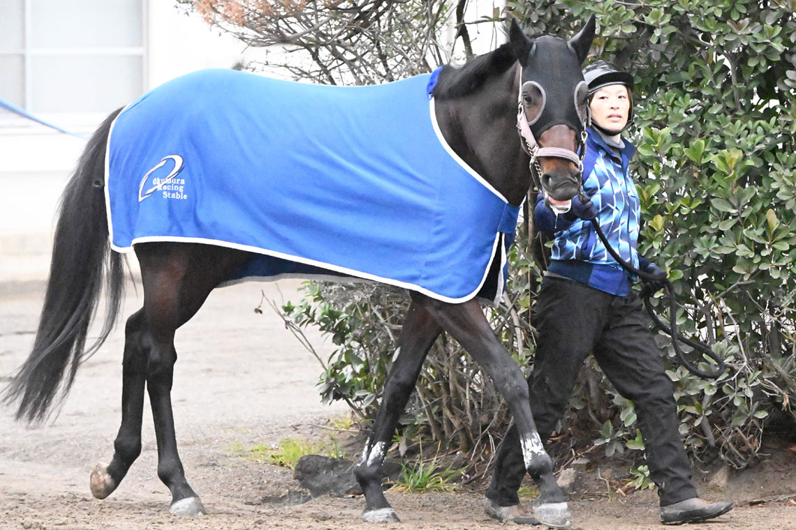 中山記念・記者の特注馬】遅咲きの大器カラマティアノスが大人になって
