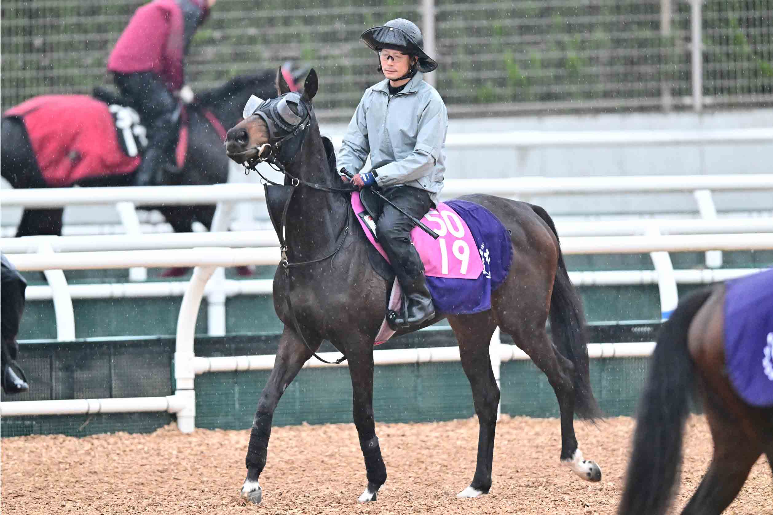 チューリップ賞・コメントのツボ】アランカール「結果を出して桜花賞に