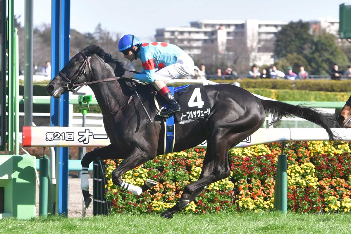 中山・水仙賞】ノーブルサヴェージが無傷の連勝 ルメール「2400mも