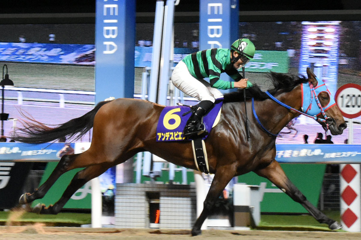 2024年の関東オークス勝ち馬アンデスビエントが競走馬登録を抹消