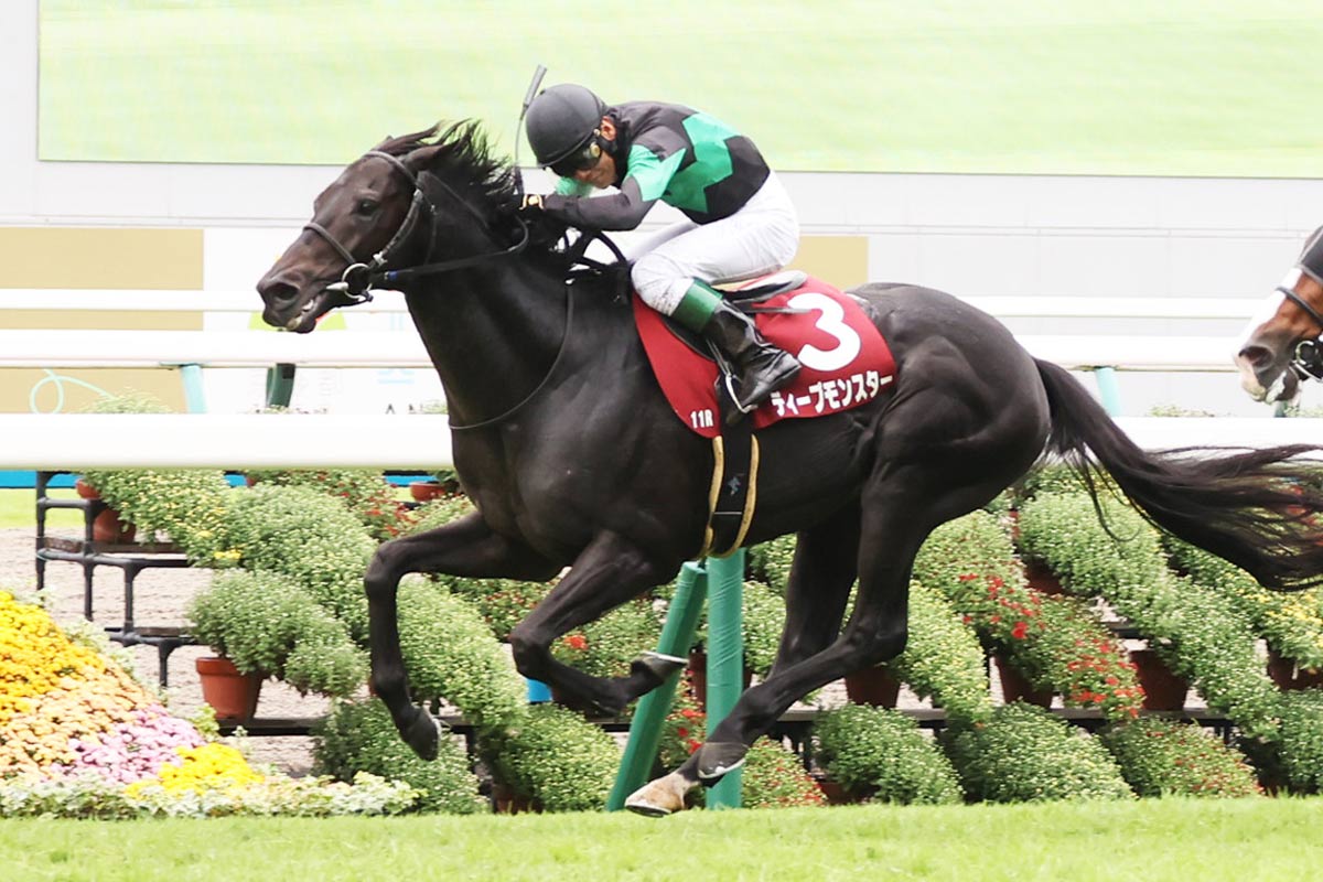 ディープモンスター　25年　京都大賞典　現地的中単勝馬券　アミールＴ制覇！ 京都大賞典・厩舎直送】ディープモンスターは悲願の重賞Vに向けて コレクション