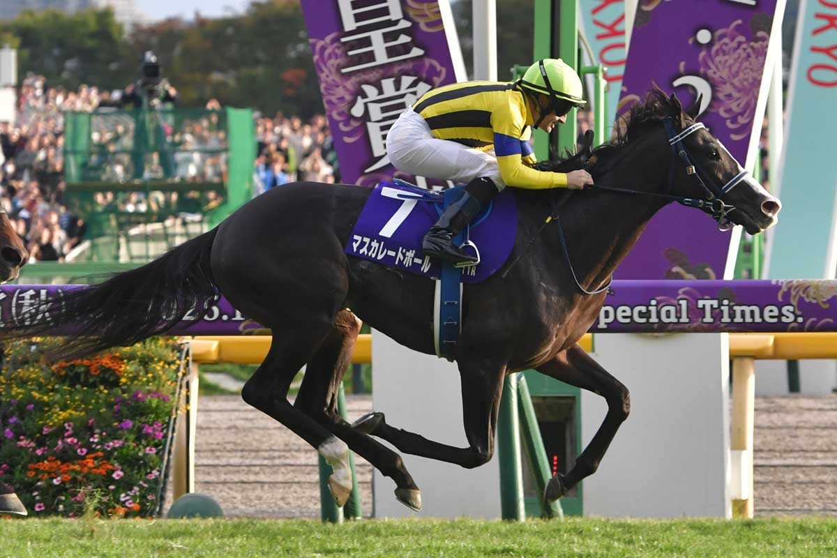 マスカレードボールがドバイ遠征を見合わせ 大阪杯へ【次走報】 | 競馬