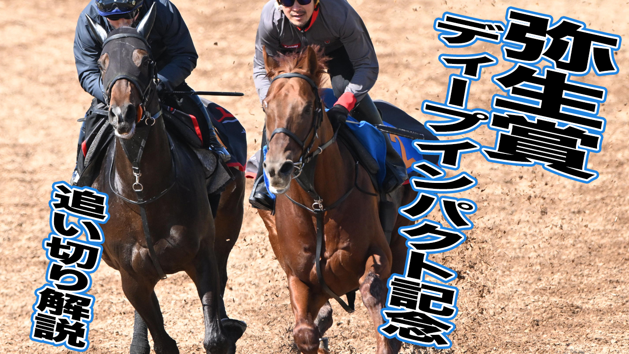 弥生賞ディープインパクト記念2026】各出走馬の追い切りを東西記者が