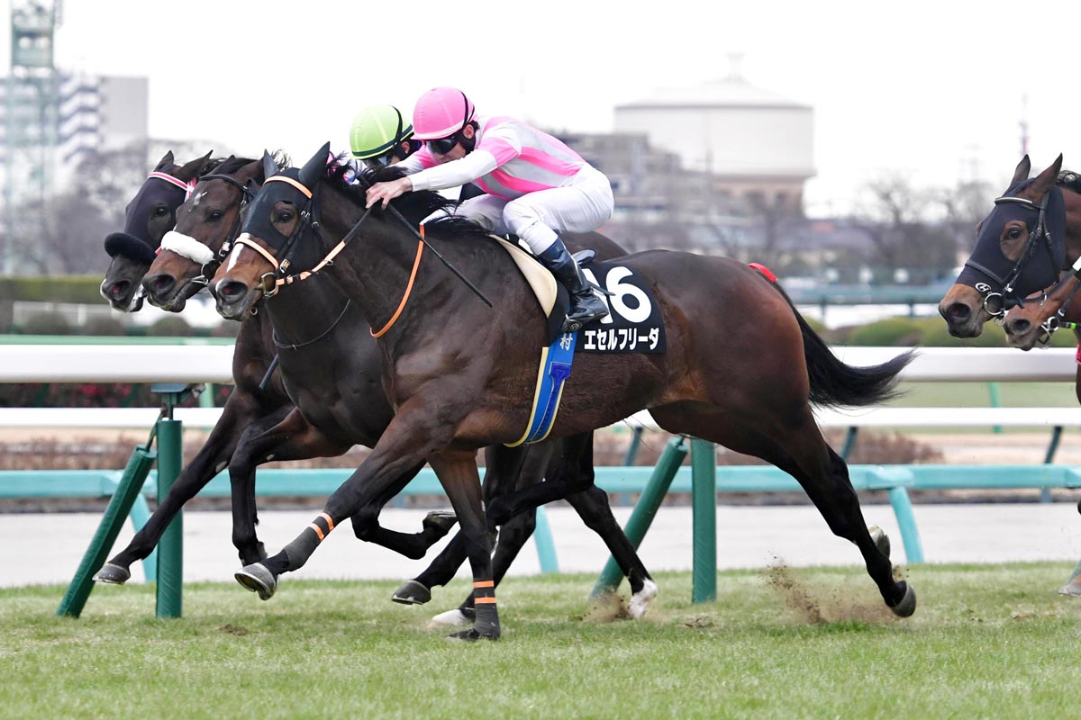 中山牝馬S・生情報】金星狙うエセルフリーダ 武藤善則調教師が「今では