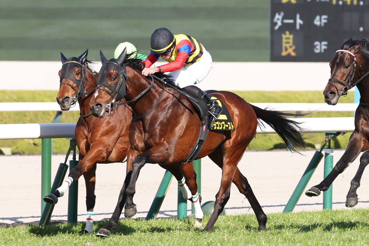 大阪城S】ドラゴンブーストが2度目のオープン勝ち 岩田望来「思った