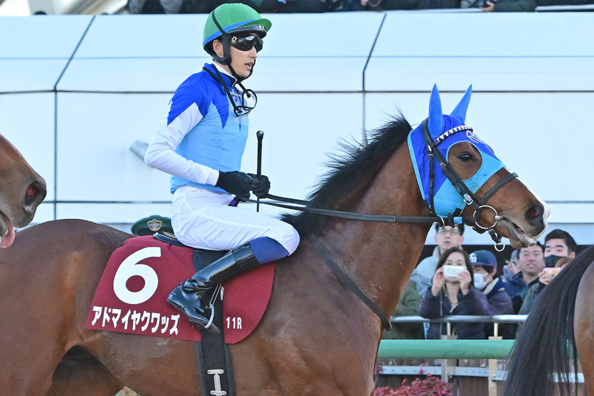 弥生賞3着のアドマイヤクワッズは予定通り皐月賞へ【次走報】 | 競馬