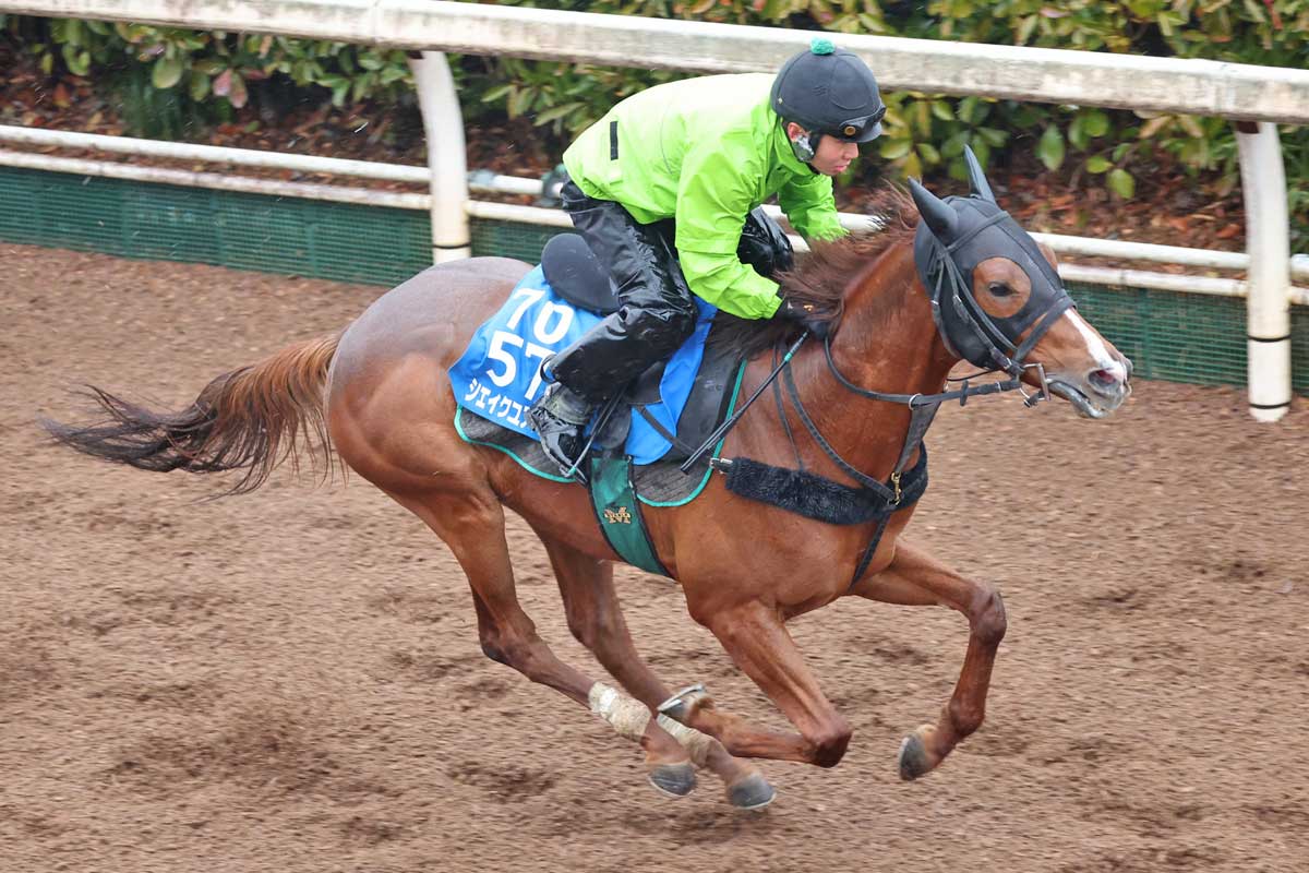 金鯱賞・耳より】得意距離でシェイクユアハートが好走へ 宮調教師