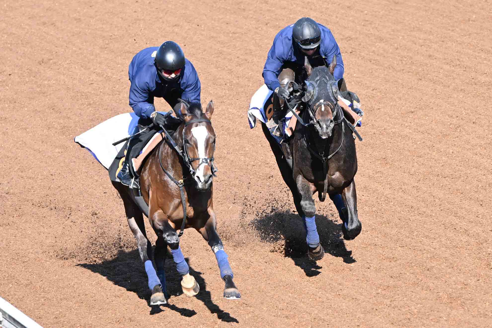 ダノンデサイルは戸崎圭太騎乗で大阪杯へ 同じくドバイ回避のロード