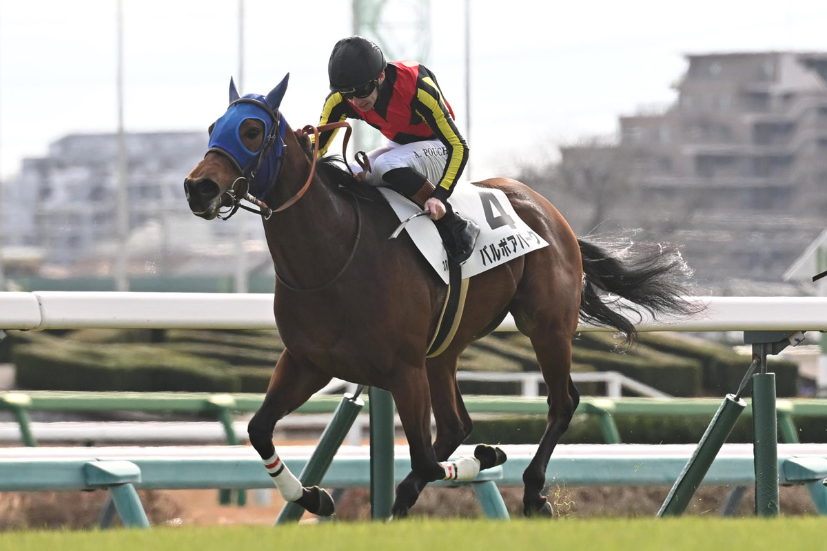 アネモネS予想 中山実績を素直に信頼！今の馬場への適性も◎ データ班