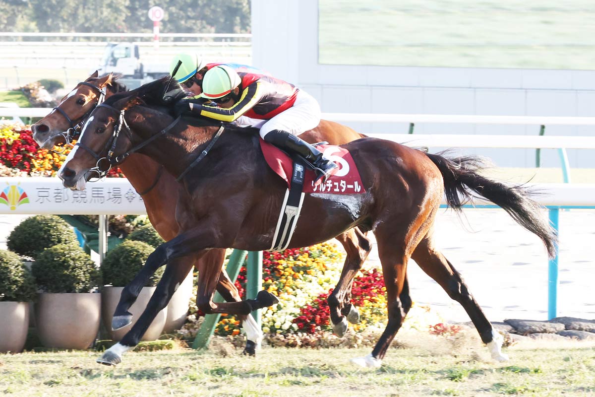 アネモネS】ディアダイヤモンドがレースレコードで3馬身差V 津村明秀