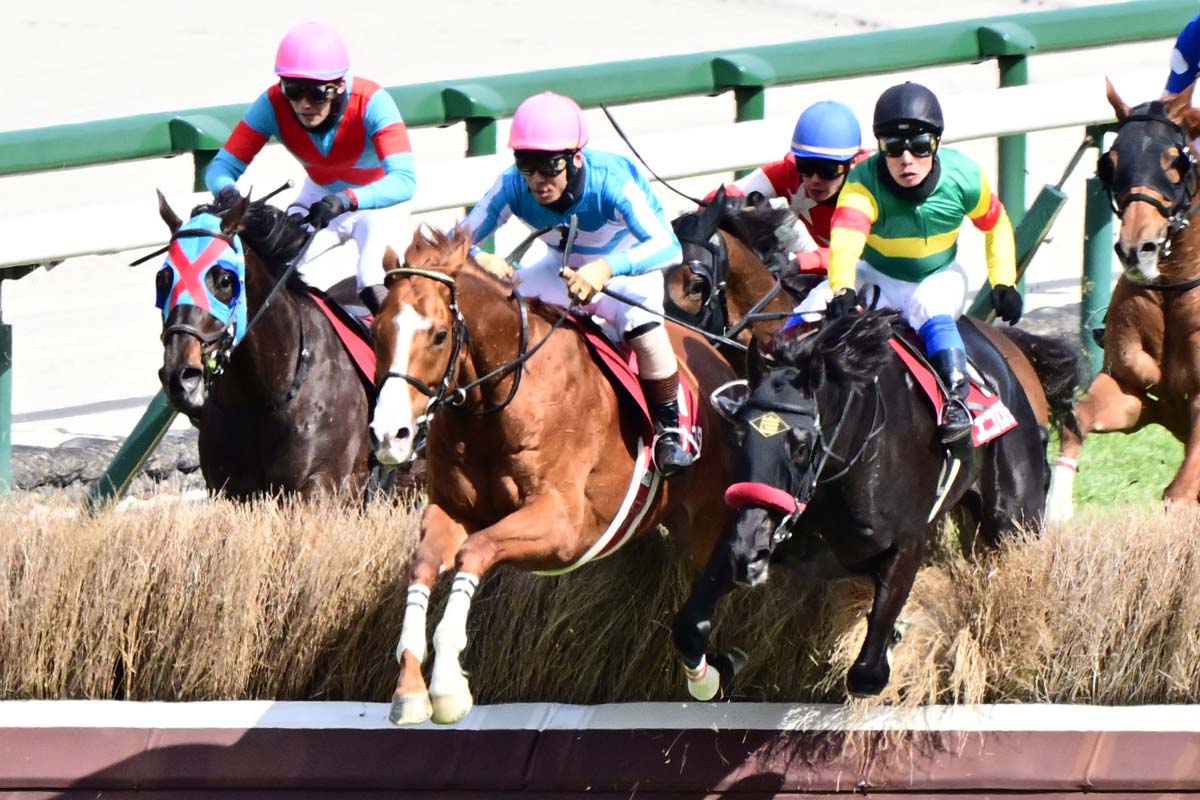 アネモネS】ディアダイヤモンドがレースレコードで3馬身差V 津村明秀