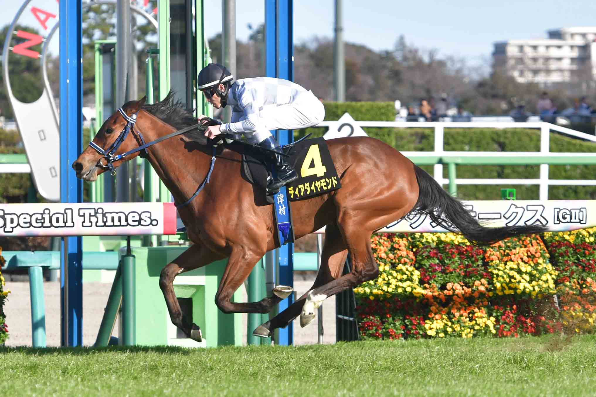 アネモネS】ディアダイヤモンドがレースレコードで3馬身差V 津村明秀