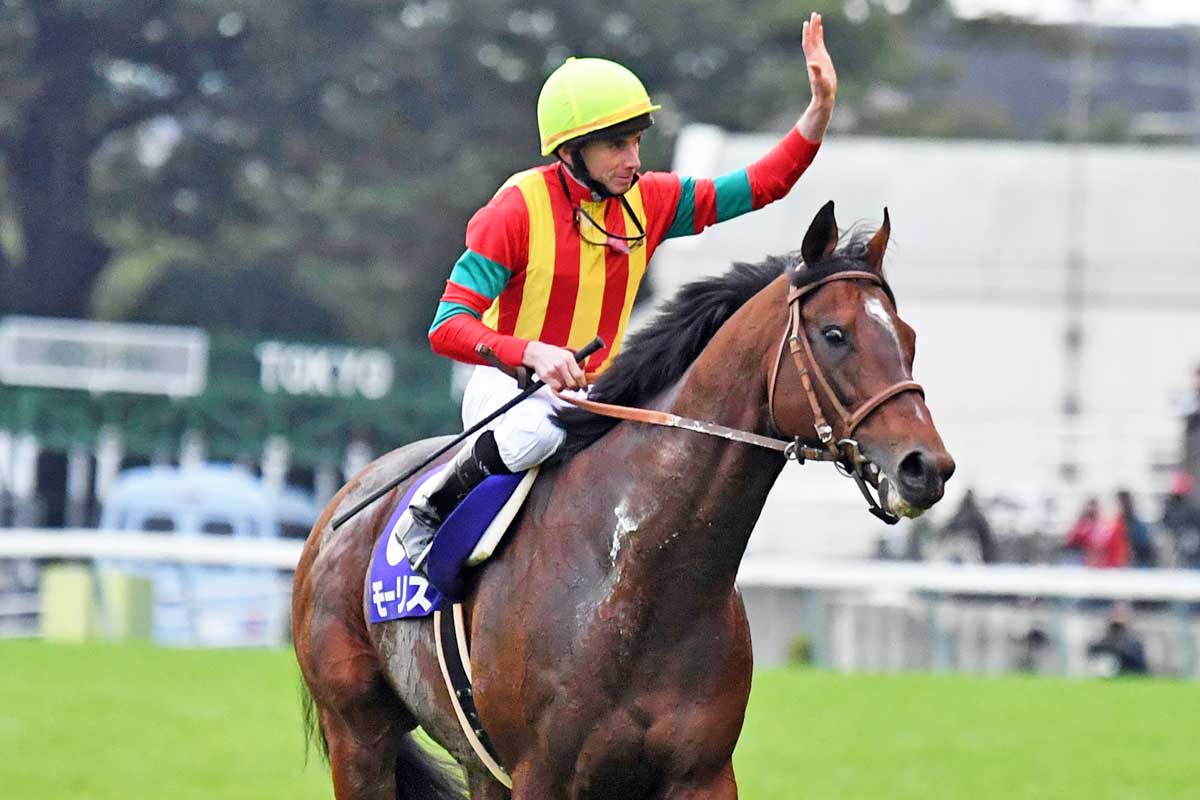 交配料740万円VS180万円！豪の種牡馬リーディングは〝2強〟形成 日本勢