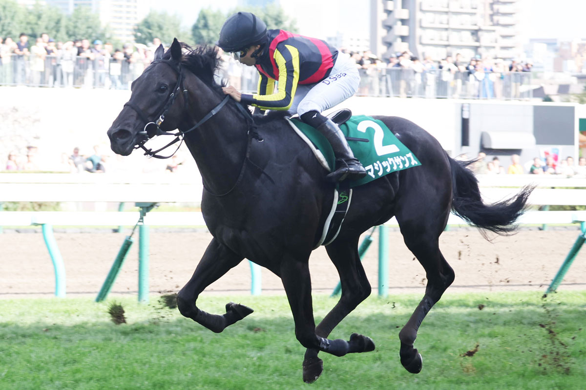 筋肉量豊富な馬体！トップバッターの期待を背負うマジックサンズ半弟