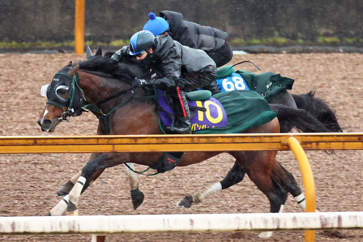 高松宮記念・1週前追い切り】パンジャタワーが豪快デモ！ 橋口慎介調教