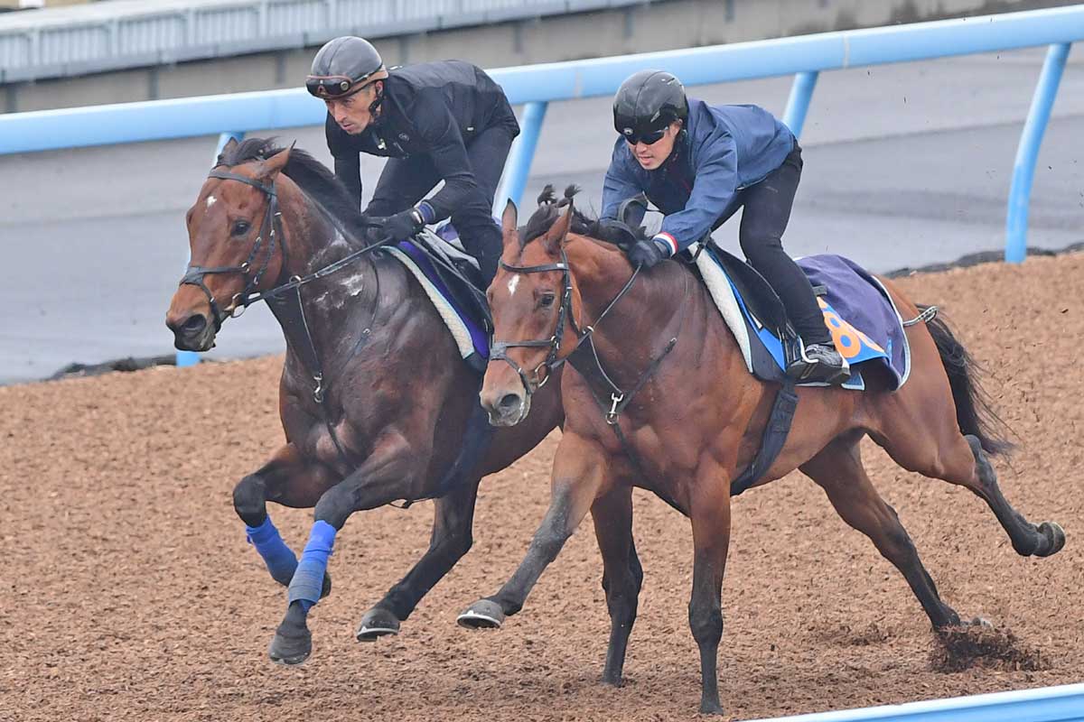 高松宮記念・1週前追い切り】サトノレーヴはルメールと初コンビ 堀宣行