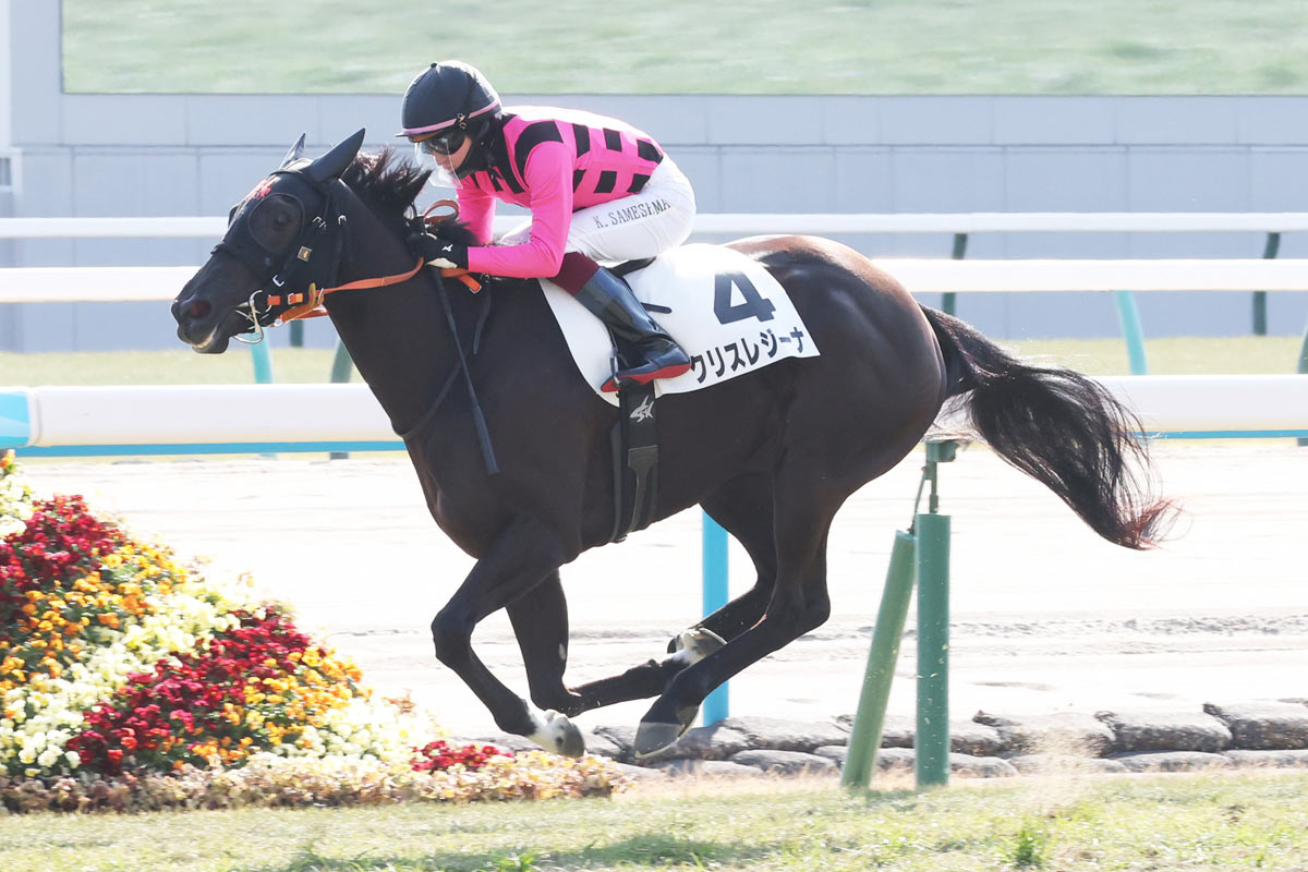 フラワーカップ】「とても乗りやすかった」「結果にこだわって…」1戦1