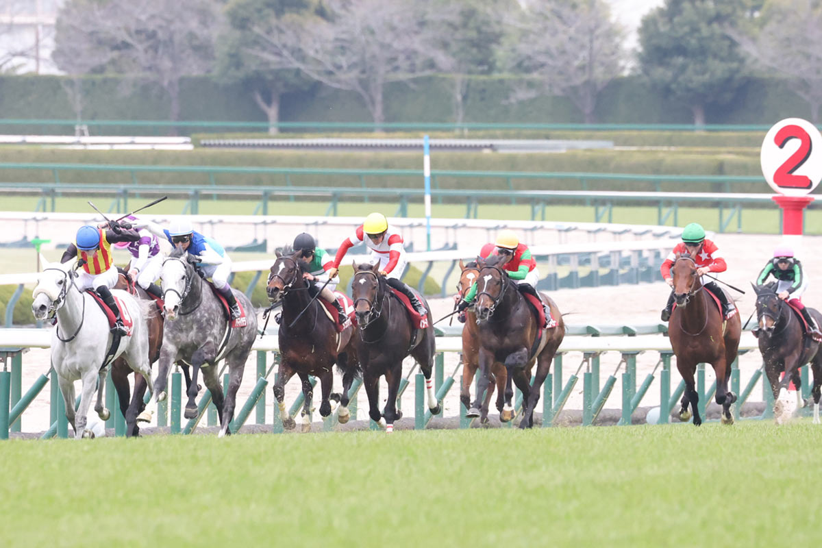阪神 競馬 場 結果