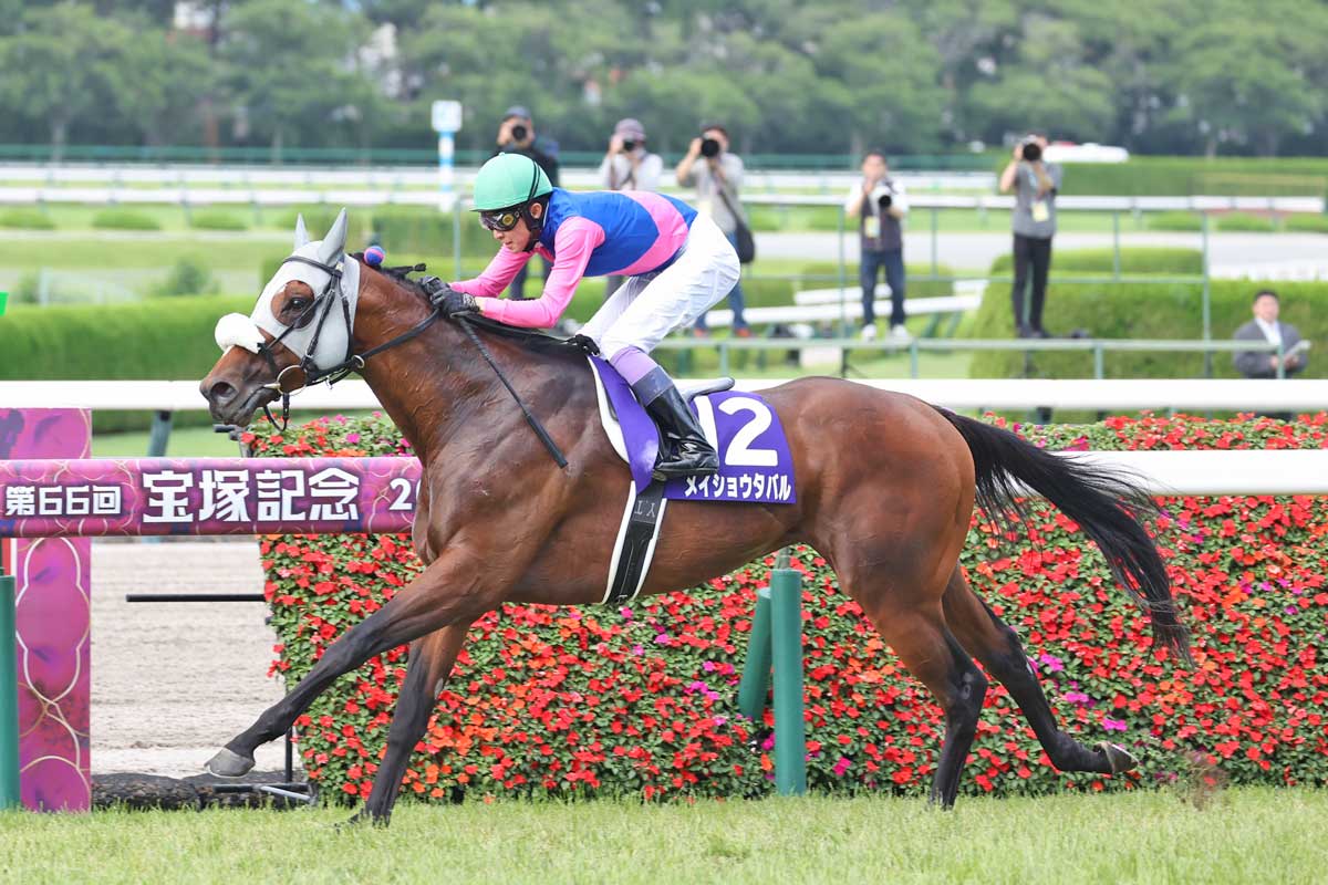 大阪杯登録馬】メイショウタバルが3戦全勝の阪神で巻き返し必至 新旧