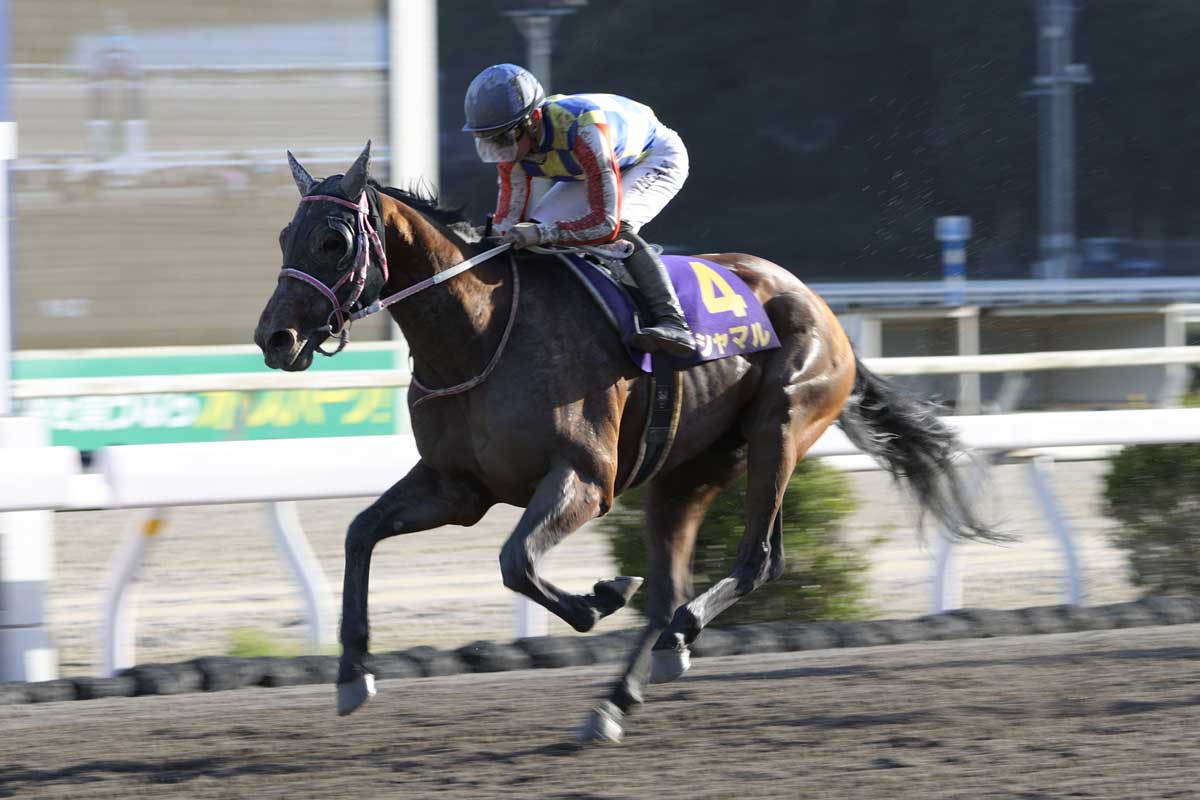 黒船賞予想】シャマルが前人未到の4連覇へ！相手は馬場適性がカギ握る4