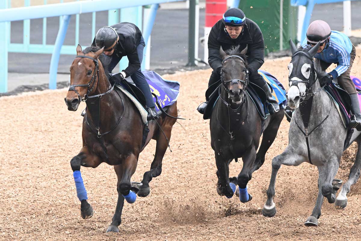 高松宮記念追い切り】連覇狙うサトノレーヴは楽に併入 堀調教師「この