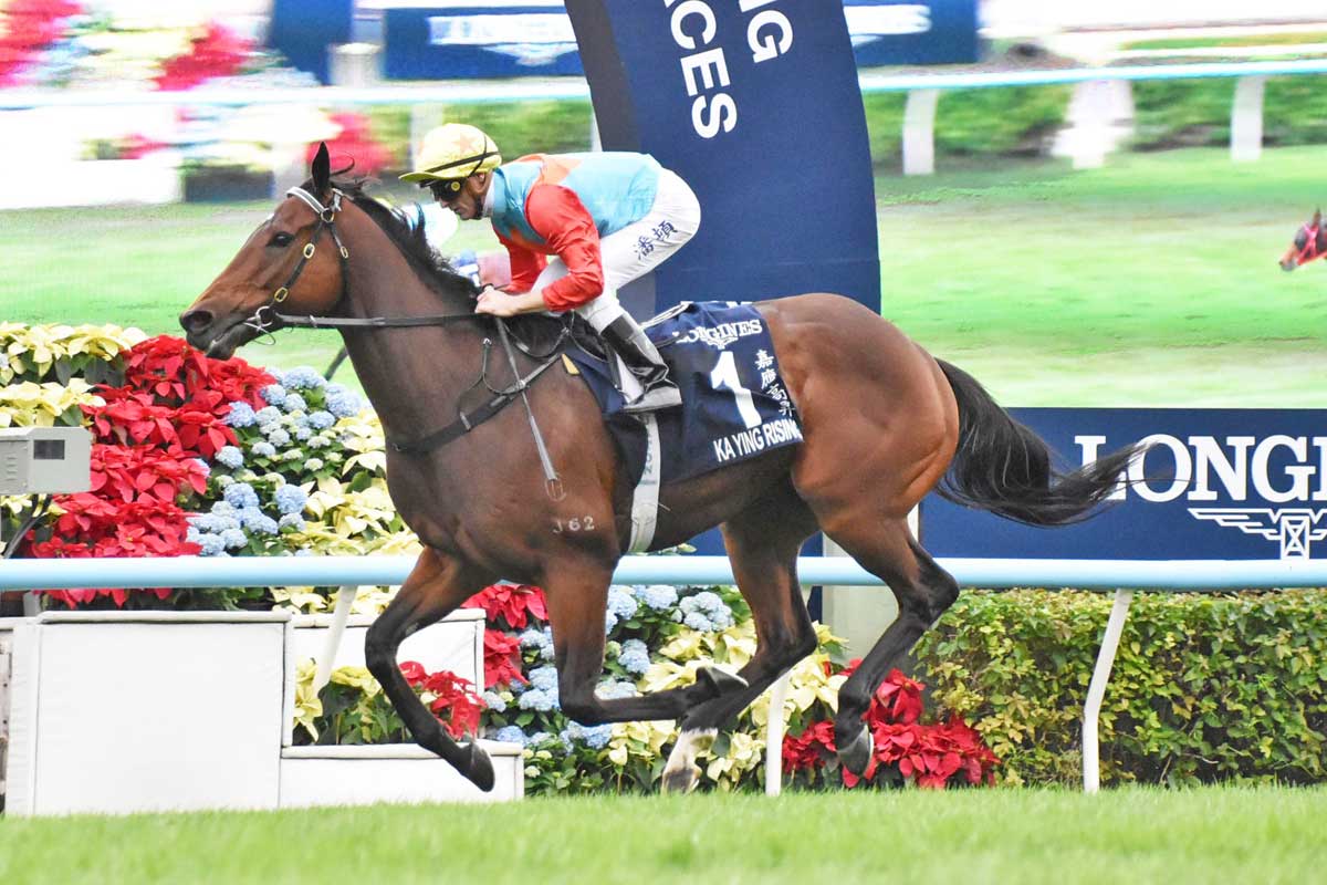 ドバイシーマクラシック】カランダガンが盤石の差し切り GⅠ・5連勝で