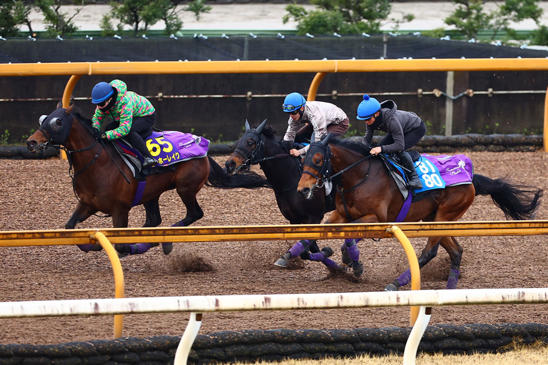 大阪杯・1週前追い切り】友道厩舎2騎が好感触！ヨーホーレイクは力強く