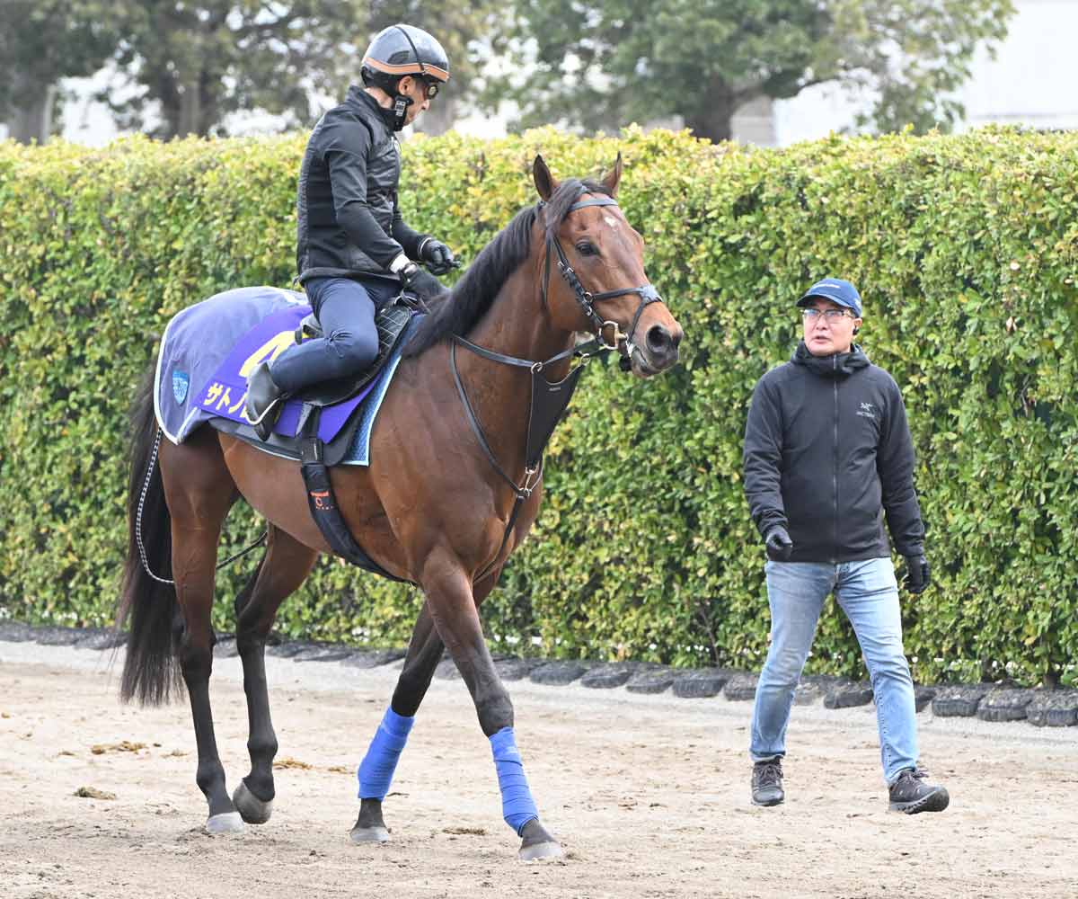 高松宮記念・調教後馬体重】パンジャタワーは昨夏より8キロ増