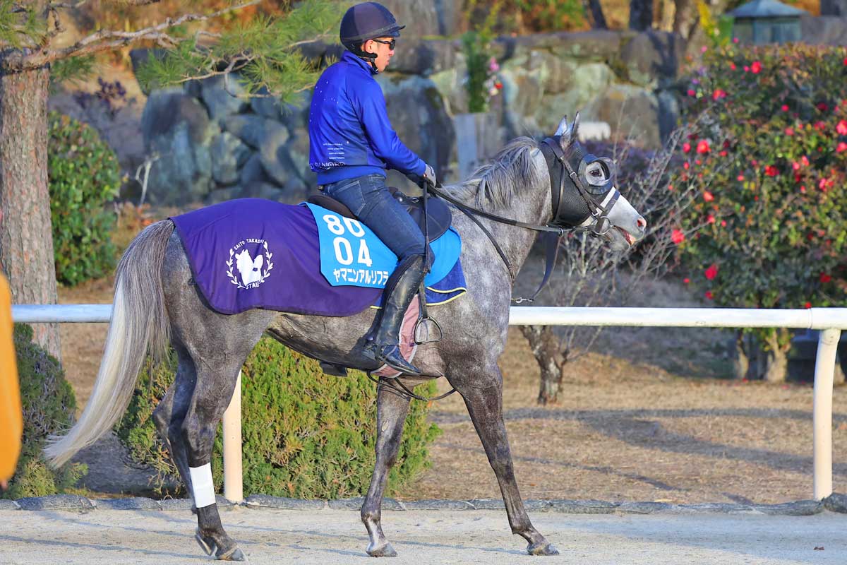 高松宮記念・データ分析予想】人気薄で絶好の狙い目！ データが示す