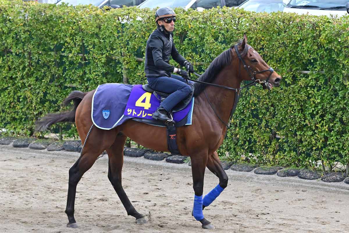 ドバイシーマクラシック】カランダガンが盤石の差し切り GⅠ・5連勝で