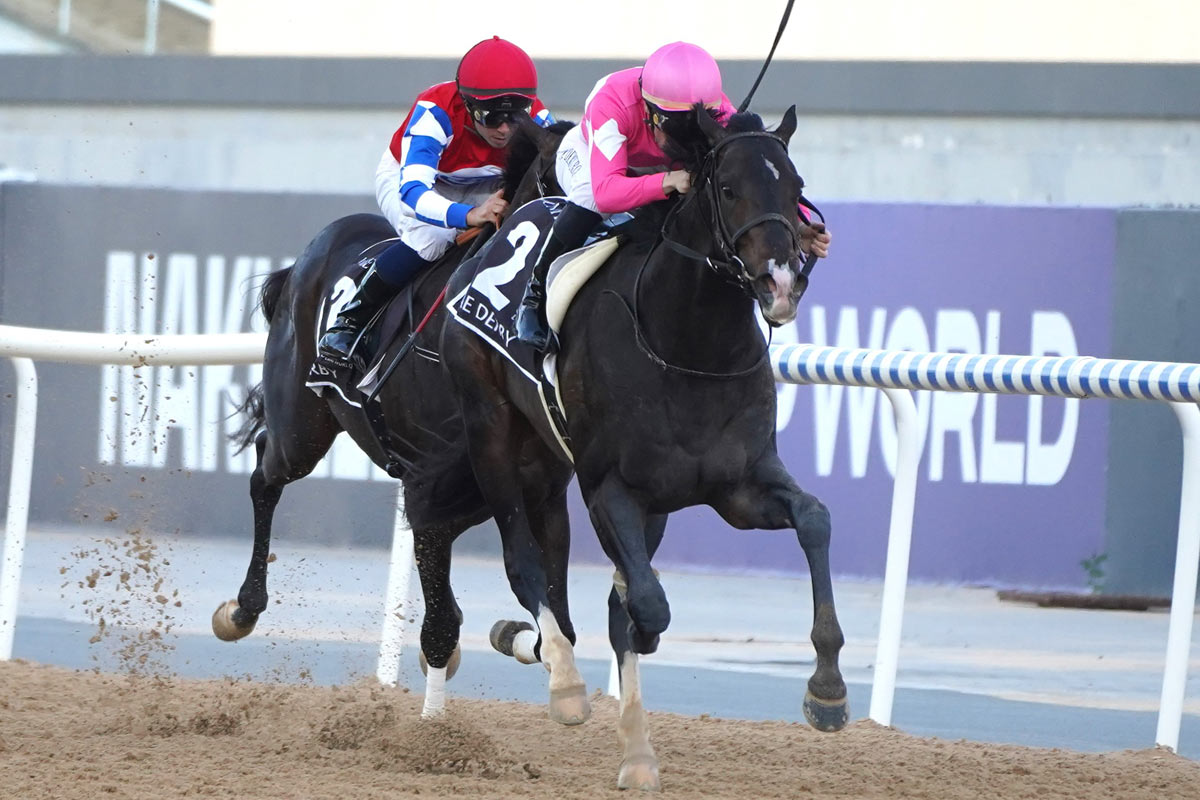 ドバイシーマクラシック】カランダガンが盤石の差し切り GⅠ・5連勝で