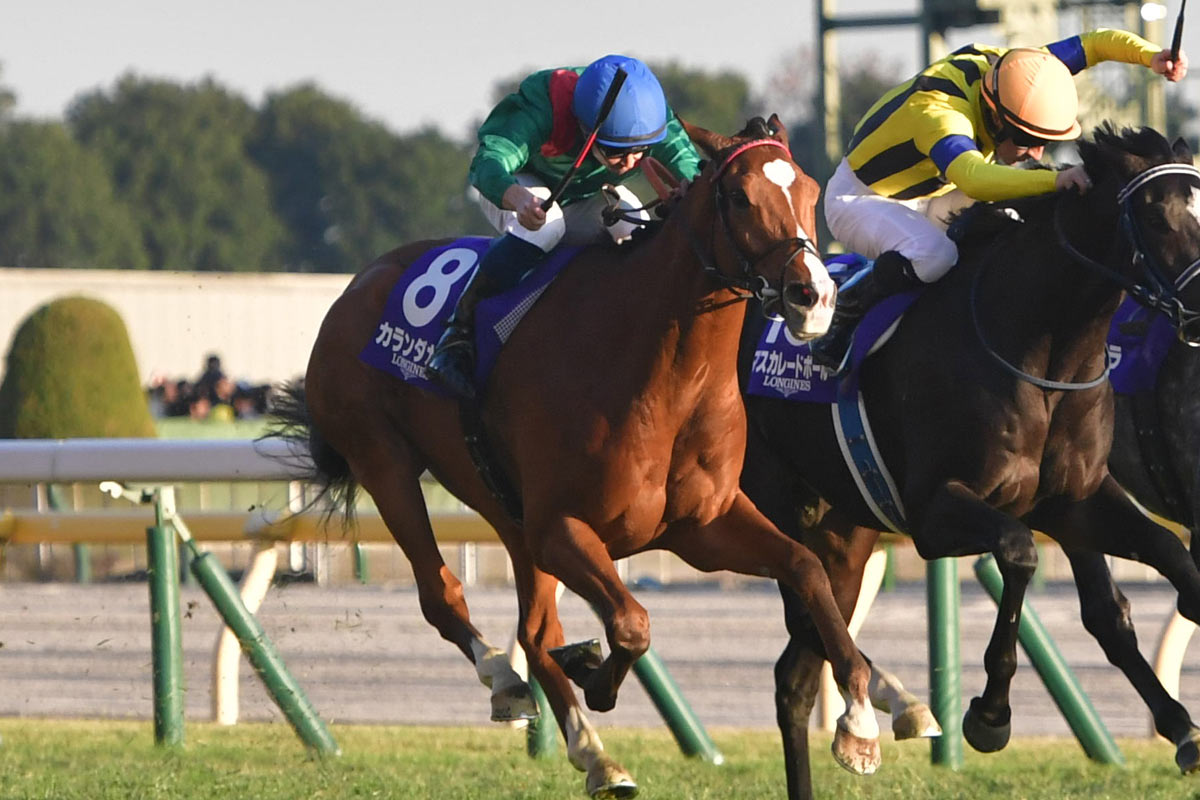 ドバイシーマクラシック】カランダガンが盤石の差し切り GⅠ・5連勝で