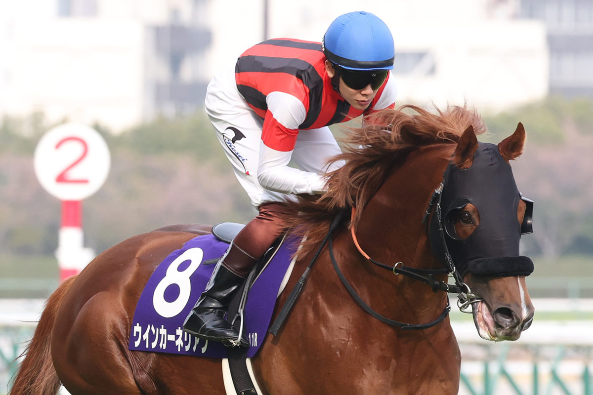 ウインカーネリアン　メイクデビュー東京　現地単勝馬券　三浦皇成騎手初G1 本当に長かった」ウインカーネリアンと三浦がついにG1初制覇