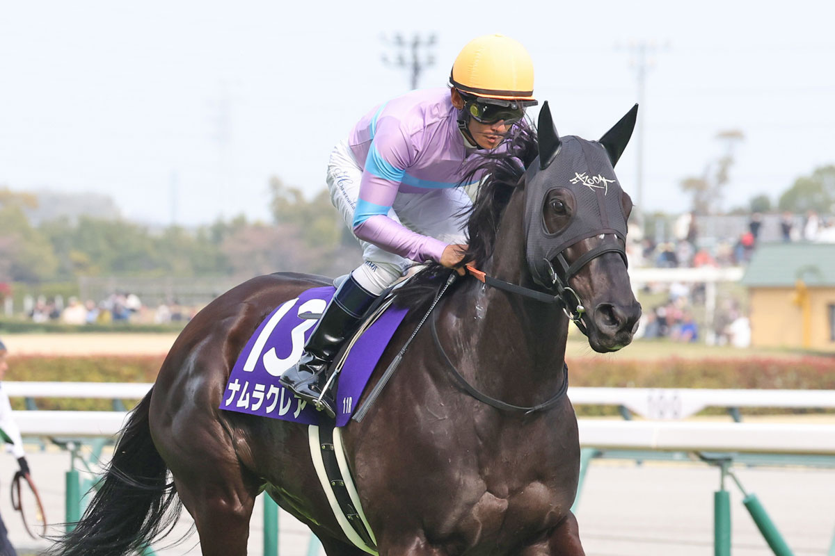 まねき馬　レインボー　ナムラクレア ナムラクレアに期待される競走能力だけじゃない〝精神力〟の強さ 繁殖