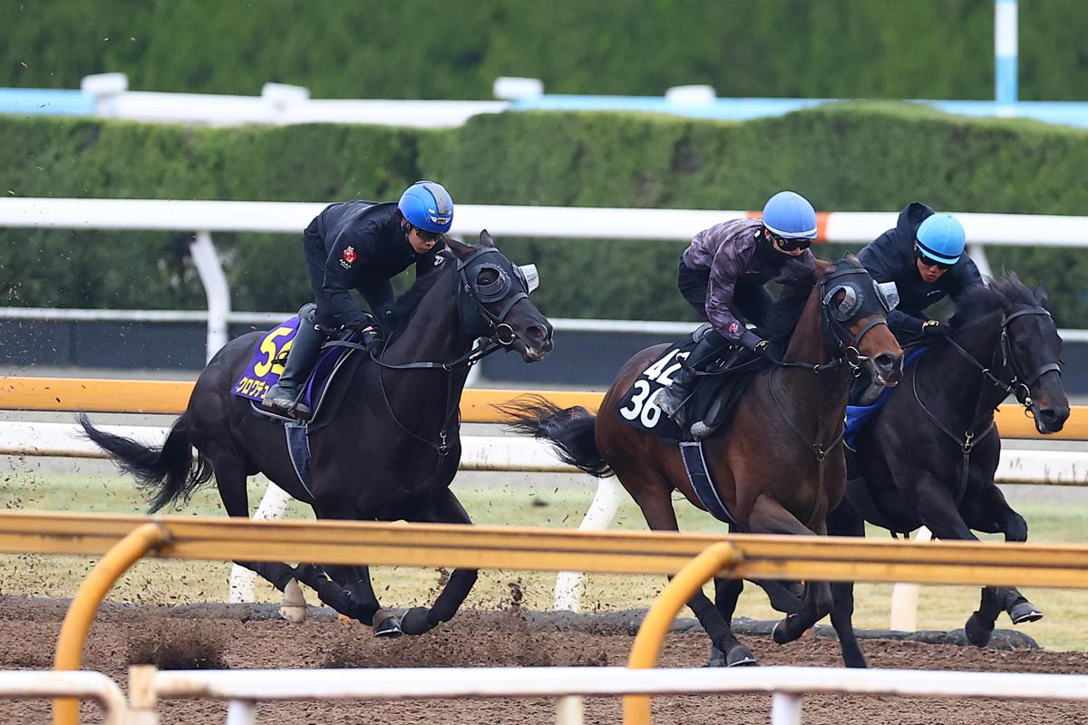 大阪杯・調教班の鬼ジャッジ】クロワデュノール3頭併せ「ゴール前やや