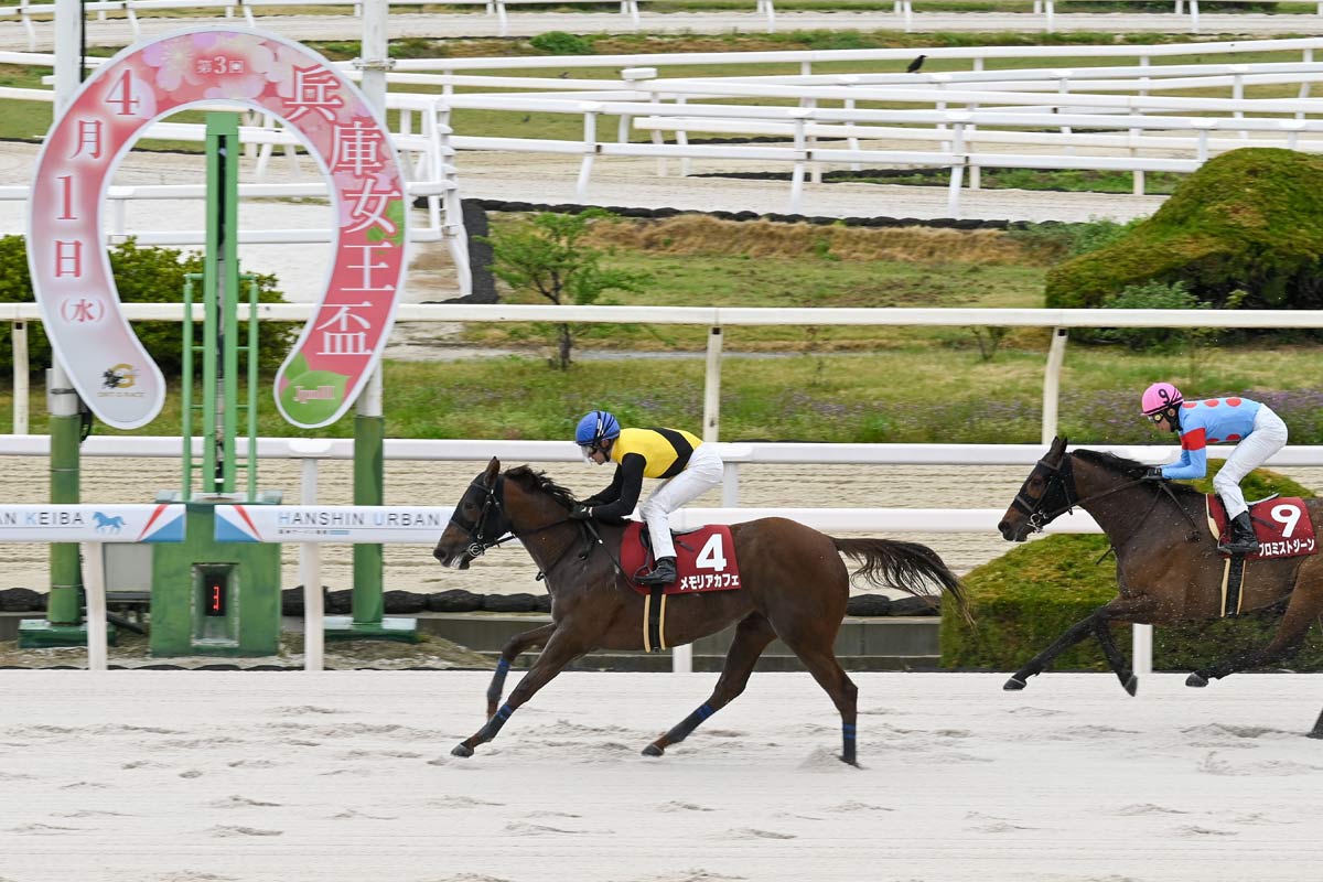 ノーリーズン 02年 皐月賞 的中単勝馬券含む全18頭セット 18枚 希少