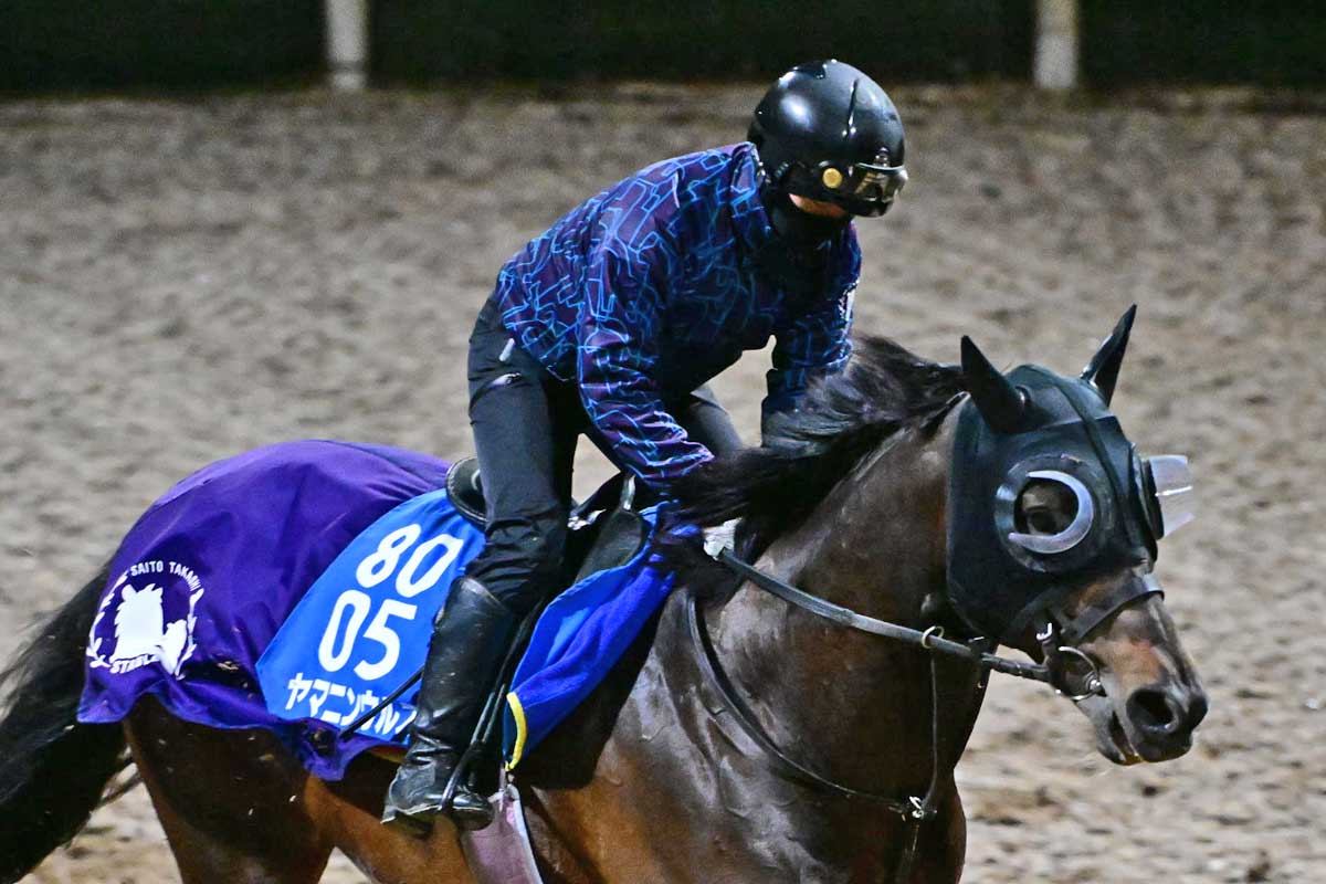 競馬の極み ラジオNIKKEI賞】新婚の荻野極が会心V エキサイトバイオは3歳