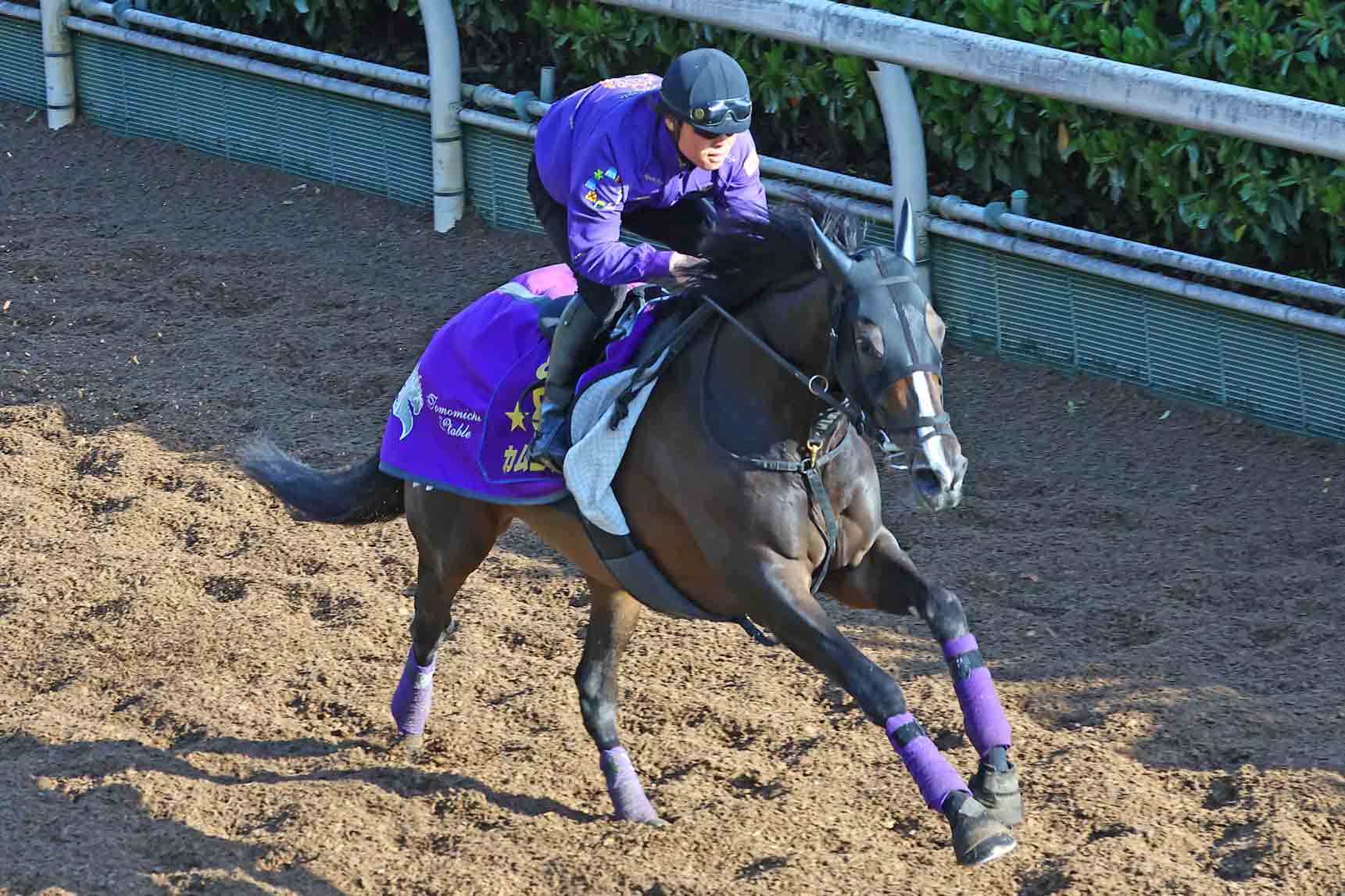 阪神牝馬S追い切り】カムニャックが好仕上がりを感じさせる手応え 友道