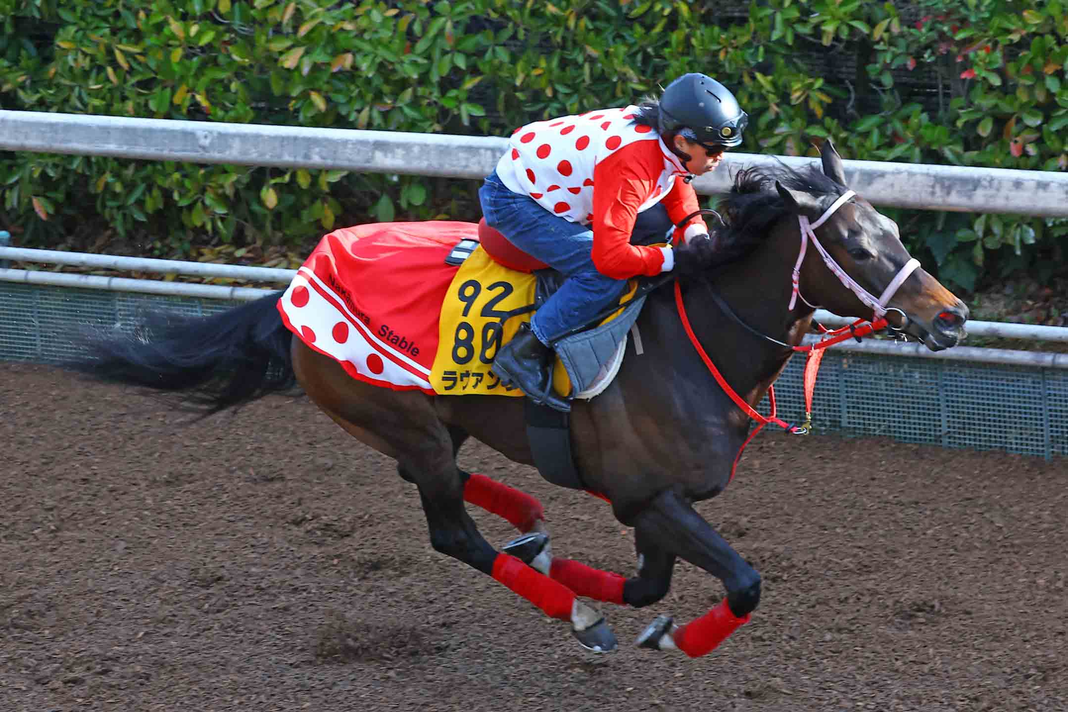 阪神牝馬S・調教採点】GⅠ馬3頭を差し置いて文句なしの動きを見せた1頭