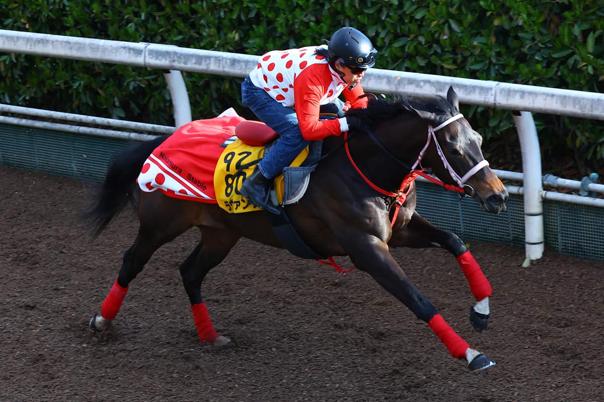 阪神牝馬S予想 GⅠ馬3頭の上をいく！ラヴァンダ「使われた強み」で